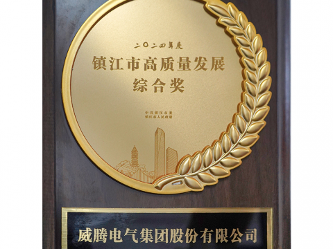 喜讯│Z6官网荣获2024年度镇江市高质量发展综合奖